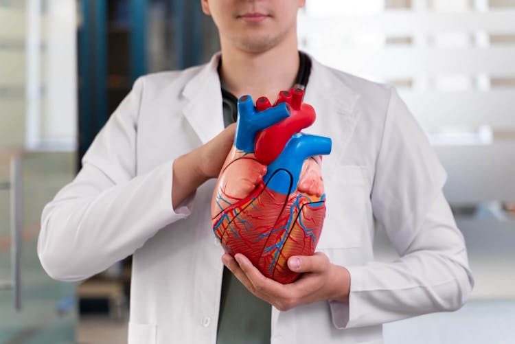 Doenças cardiovasculares: fatores de risco e medidas preventivas